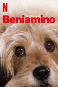 Benji